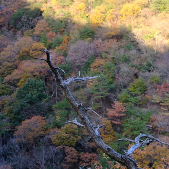 年末年始の営業日程について