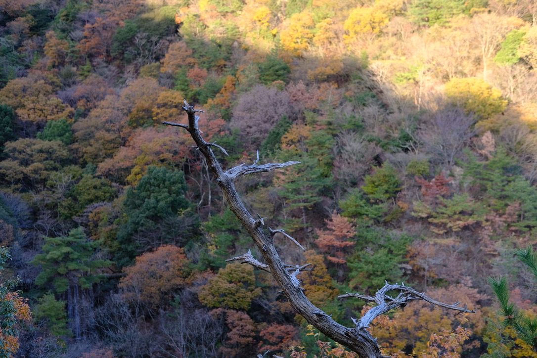 年末年始の営業日程について